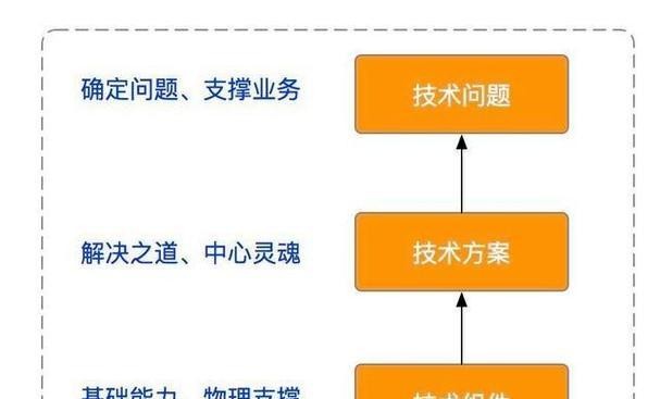 蜘蛛池怎么弄？手把手教你搭建高效蜘蛛池系统